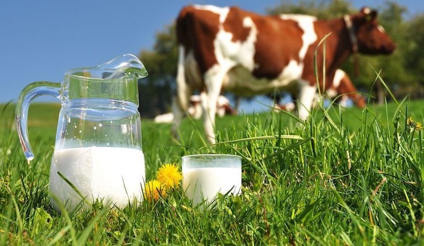 В Казахстане молоко дорожает из-за высоких цен на корма - Минсельхоз