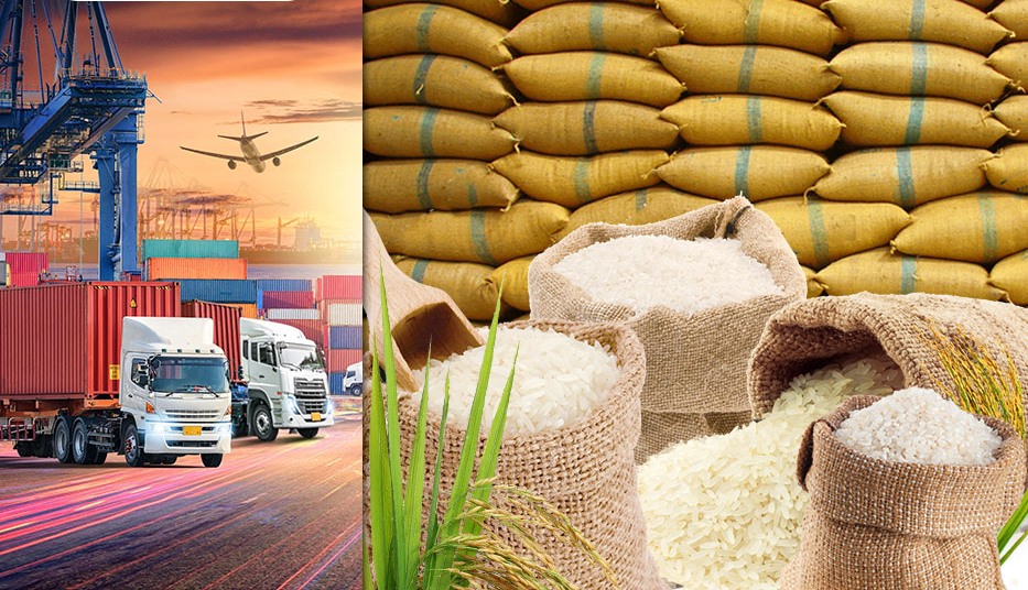 Казахстан покрывает потребность внутреннего рынка в рисе и экспортирует его в страны СНГ