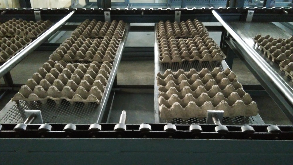 Цех по выпуску яичных лотков из макулатуры запустили в Жамбылской области