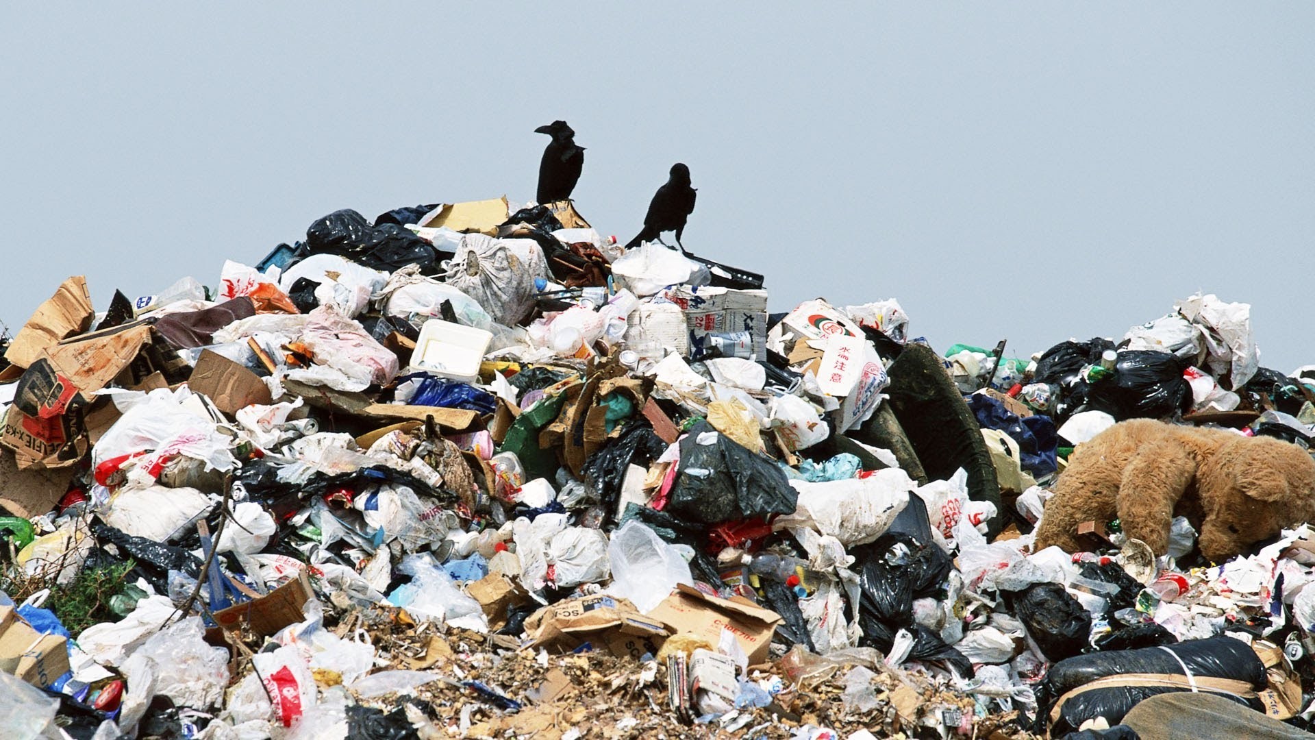 Акиматам дали срок до июня 2023 года ликвидировать все мусорные свалки