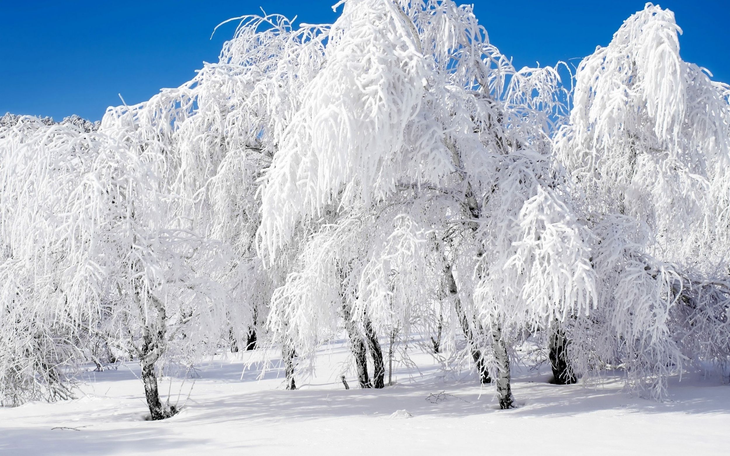 Снег и понижение температуры воздуха прогнозируют синоптики