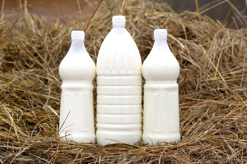 Каждое десятое молоко в стране производится в СКО