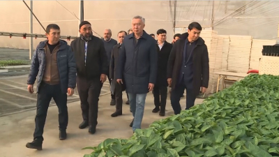 Вице-премьер встретился с владельцами теплиц в Сарыагашском районе