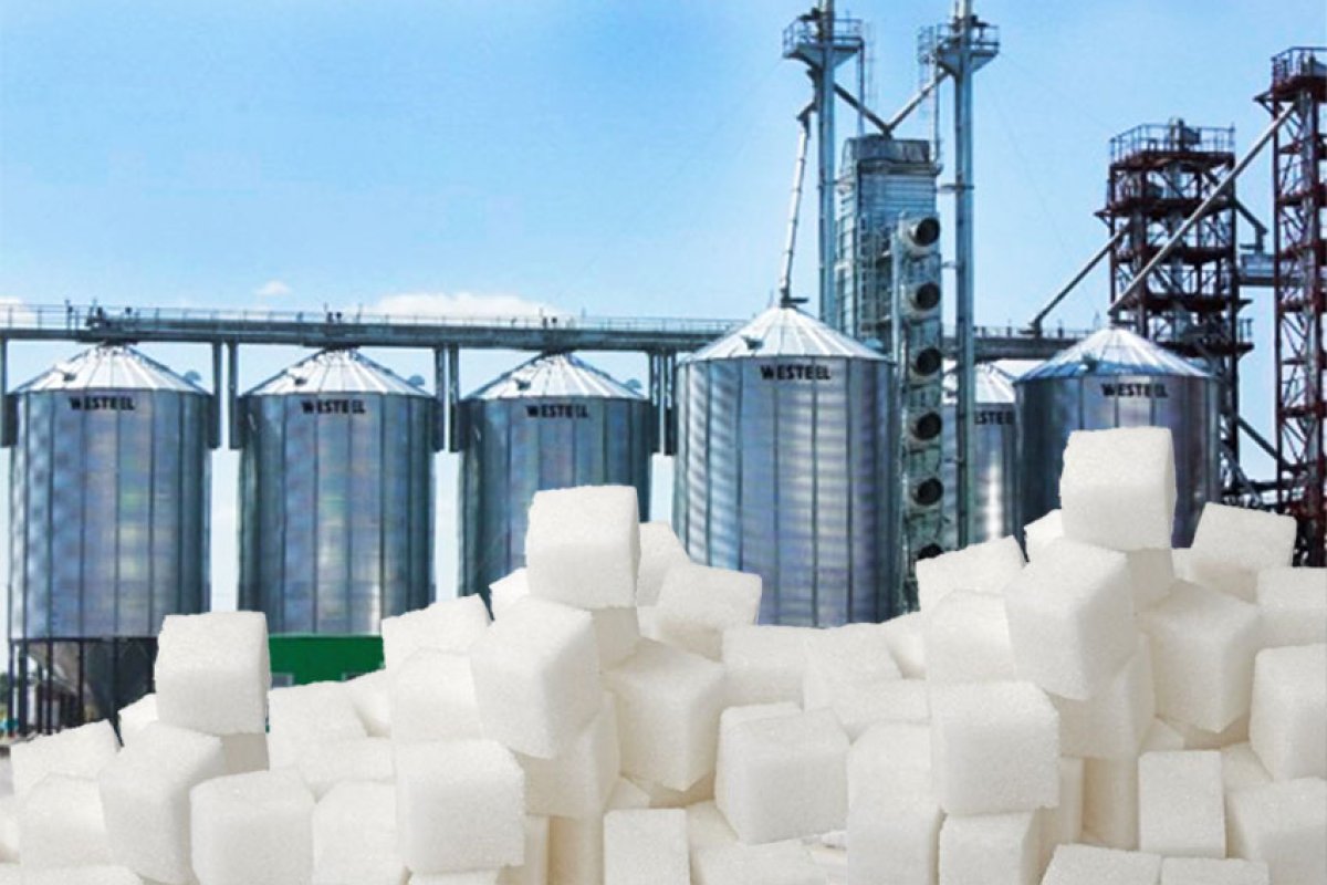 Казахстан всего на 40% обеспечивает себя сахаром – Минсельхоз