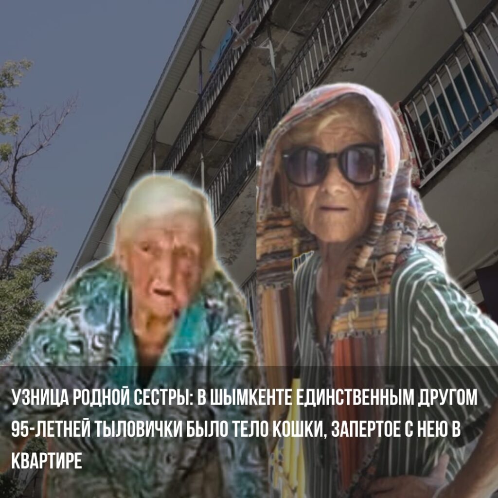 Узница родной сестры: в Шымкенте единственным другом 95-летней тыловички  было тело кошки, запертое с нею в квартире | Elitar.kz